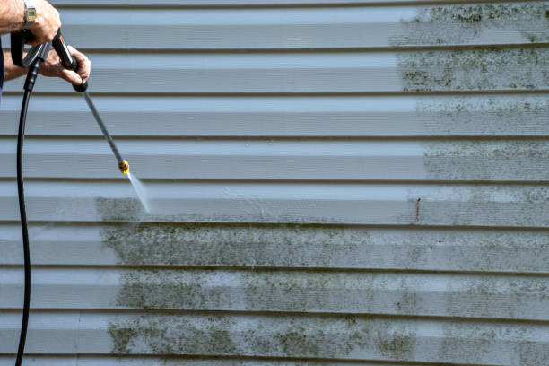 Best Property Management Cleanouts  in French Mp, CA